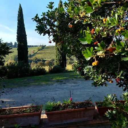 Casa Partingoli Pian dei Cerri